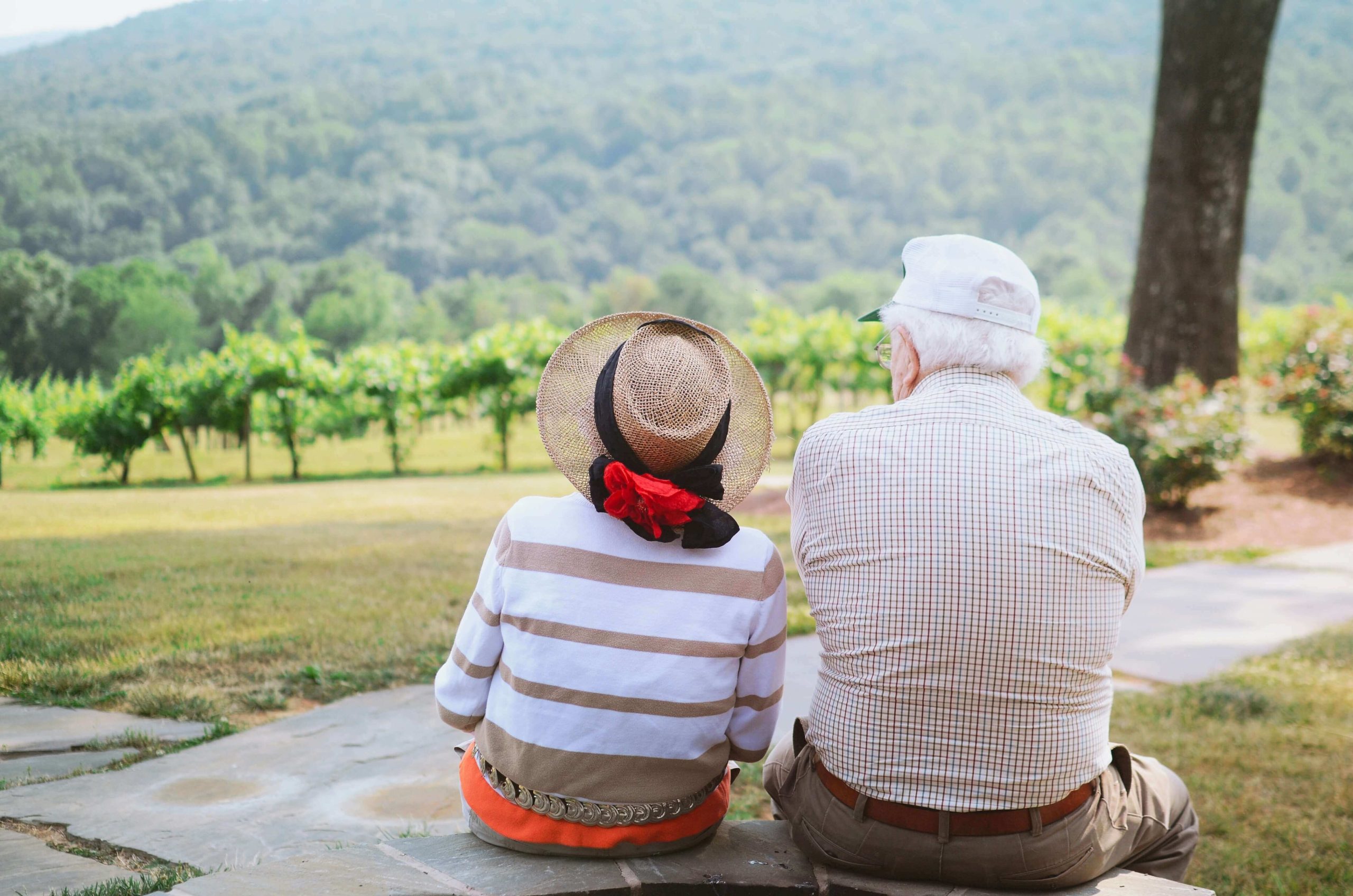 adultos mayores relación psicosocial